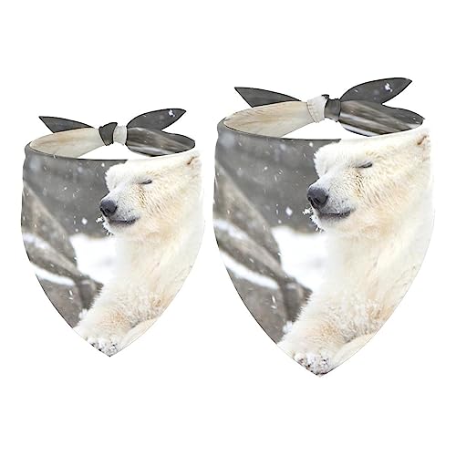 Passendes Bandana für Haustier und Besitzer, 2er-Pack, hochwertiger, transparenter Chiffon-Stoff, verstellbare Passform, kühlend,Tierischer Eisbär Winter Schnee Passendes Bandana für Haustier und Besitzer, 2er-Pack, hochwertiger, transparenter Chiffon-Stoff, verstellbare Passform, kühlend,Tierischer Eisbär Winter Schnee von KQNZT