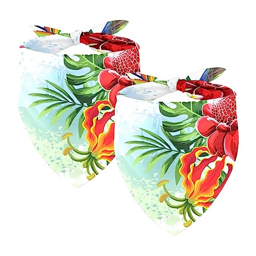 Passendes Bandana für Haustier und Besitzer, 2er-Pack, hochwertiger, transparenter Chiffon-Stoff, verstellbare Passform, kühlend,Vögel und Blumen tropisch Passendes Bandana für Haustier und Besitzer, 2er-Pack, hochwertiger, transparenter Chiffon-Stoff, verstellbare Passform, kühlend,Vögel und Blumen tropisch von KQNZT