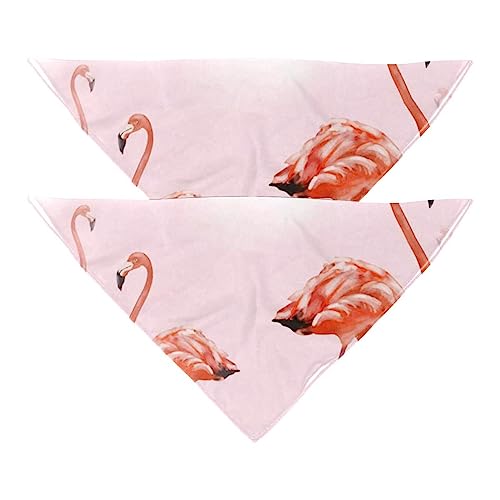 Passendes Set mit Hundehalstüchern, Hundelätzchen, Schal, Dreieckstuch für Hunde, Katzen, Haustierbesitzer, Mutter und Vater, 2er-Pack,Rosa Feuer Vogel Tropische Betriebsblume Passendes Set mit Hundehalstüchern, Hundelätzchen, Schal, Dreieckstuch für Hunde, Katzen, Haustierbesitzer, Mutter und Vater, 2er-Pack,Rosa Feuer Vogel Tropische Betriebsblume von KQNZT