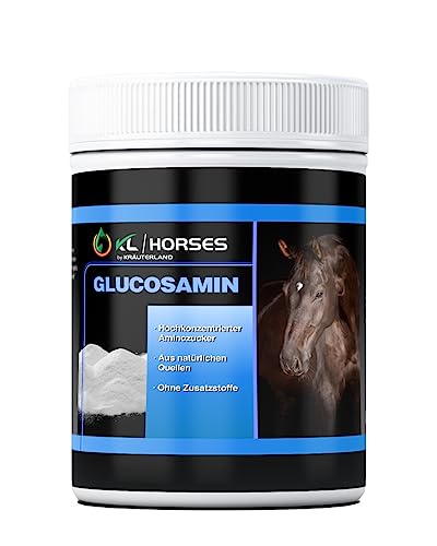Kräuterland Glucosamin Pulver für Pferde - 1kg Glucosaminsulfat Pulver, hochrein und hochdosiert - Futterzusatz in Premium Qualität von KRÄUTERLAND N A T U R - Ö L M Ü H L E