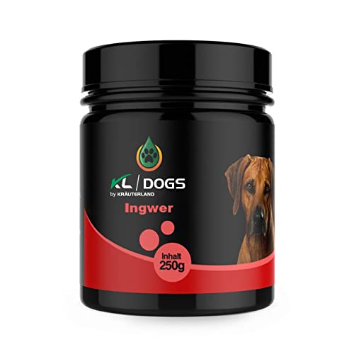 Kräuterland Ingwer Pulver für Hunde - 250g reines Ingwerpulver aus gemahlender Ingwerwurzel - Futterergänzung in Premium Qualität Kräuterland Ingwer Pulver für Hunde - 250g reines Ingwerpulver aus gemahlender Ingwerwurzel - Futterergänzung in Premium Qualität von KRÄUTERLAND N A T U R - Ö L M Ü H L E