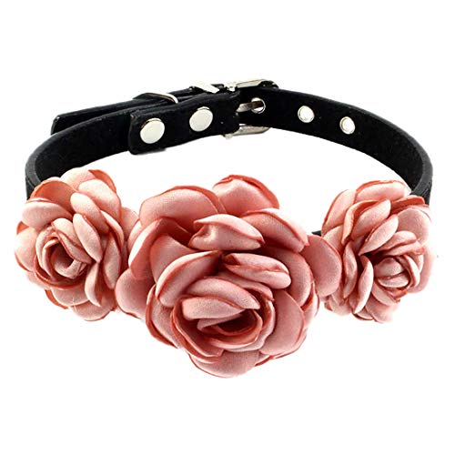 KRUIHAN Hundehalsband mit Blume, Verstellbare Hunde Katze Halsbänder mit Metall Steckverschluss, Verkleide Katzen und Hunde für Weihnachtsfeier, Rosa-M KRUIHAN Hundehalsband mit Blume, Verstellbare Hunde Katze Halsbänder mit Metall Steckverschluss, Verkleide Katzen und Hunde für Weihnachtsfeier, Rosa-M von KRUIHAN