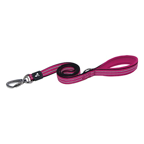 KRUZ PET 10,2 cm lange, reflektierende, robuste Klick-Leine mit Klickverschluss, starke, sichere Nylon-Sicherheitsleine mit Karabinerhaken, Haustier-Leine mit bequemem, gepolstertem Griff, Größe M von KRUZ PET