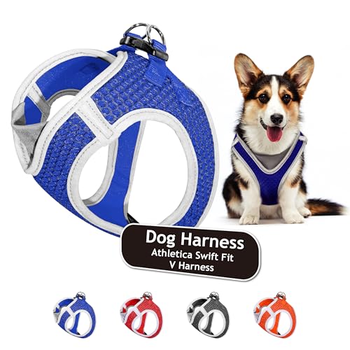 KRUZ PET KZA308-02L Reflektierendes Hundegeschirr mit V-Ausschnitt, kein Ziehen, schnelle Passform, bequem, mit Klettverschluss, verstellbare Haustiergeschirre für Spaziergänge und Training, für KRUZ PET KZA308-02L Reflektierendes Hundegeschirr mit V-Ausschnitt, kein Ziehen, schnelle Passform, bequem, mit Klettverschluss, verstellbare Haustiergeschirre für Spaziergänge und Training, für von KRUZ PET