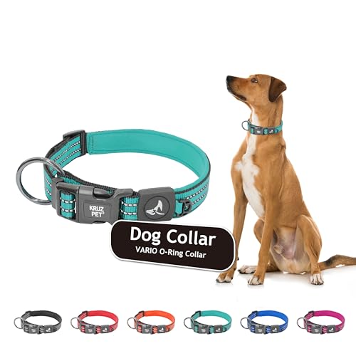 KRUZ PET Reflektierendes Halsband für kleine, mittelgroße und große Hunde, 100 % Nylon, verstellbar, strapazierfähiger O-Ring, weiche und bequeme Neopren-Polsterung, grau, groß von KRUZ PET
