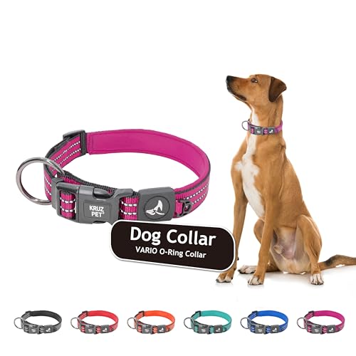 KRUZ PET Reflektierendes Hundehalsband für kleine, mittelgroße und große Hunde, 100% Nylon, verstellbares Haustierhalsband, robuster O-Ring, weiche, bequeme Neoprenpolsterung - Rot - X-Large KRUZ PET Reflektierendes Hundehalsband für kleine, mittelgroße und große Hunde, 100% Nylon, verstellbares Haustierhalsband, robuster O-Ring, weiche, bequeme Neoprenpolsterung - Rot - X-Large von KRUZ PET