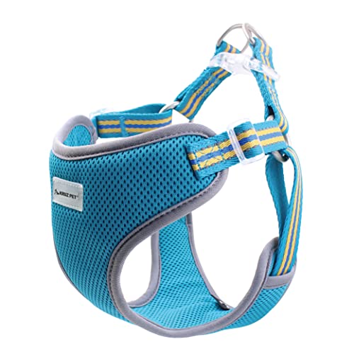 KRUZ PET Step-in Brustgeschirr - strapazierfähiges, reflektierendes, ultraweiches Mesh für kleine und mittelgroße Hunderassen - (Himmelblau/Groß) von KRUZ PET