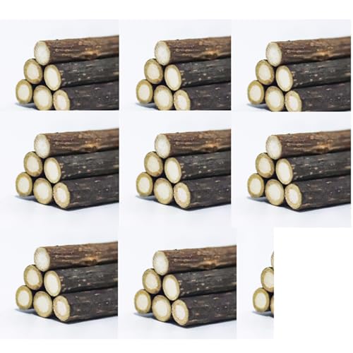 KRYMXAR 50 Katzenspielzeug, Katzenminze Sticks Für Zahnpflege, Spielzeug Für Katzen Und Kitten, Natürliches Kauen Spielzeug KRYMXAR 50 Katzenspielzeug, Katzenminze Sticks Für Zahnpflege, Spielzeug Für Katzen Und Kitten, Natürliches Kauen Spielzeug von KRYMXAR