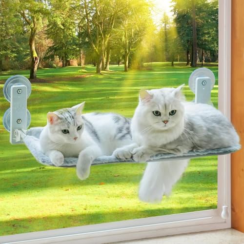 KSALUX Hängematte für Katzen, mit Fenster, faltbar | Katzenbett mit verstärkten Saugnäpfen | Matte wendbar und waschbar bis 18 kg | 3 Spielzeuge + 2 Ersatz-Saugnäpfe (Fenstergrau) von KSALUX
