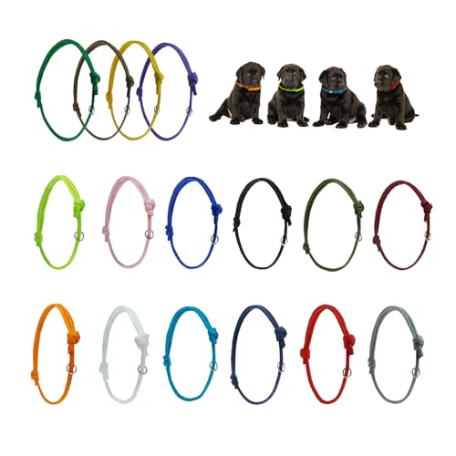 16-Teilige Welpenhalsbänder, Welpen-Id-Halsketten, Verstellbare Halsbänder, Haustier-Krawatten, Welpen-Erkennungsmarken, Welpenzubehör 16-Teilige Welpenhalsbänder, Welpen-Id-Halsketten, Verstellbare Halsbänder, Haustier-Krawatten, Welpen-Erkennungsmarken, Welpenzubehör von KSBBHDS