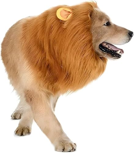 KSBBHDS 1 Haustierperücke, 1 Pet Fake Tail, Welpe, Der Vorgibt, EIN Löwenanzug Zu Sein, Lustige Dressing -Requisiten, Haustierkostüme. KSBBHDS 1 Haustierperücke, 1 Pet Fake Tail, Welpe, Der Vorgibt, EIN Löwenanzug Zu Sein, Lustige Dressing -Requisiten, Haustierkostüme. von KSBBHDS