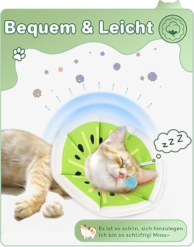 KSBBHDS 1 -Teiliges Tierhalsring, Kreativ Und Niedlich, Weich Und Komfortable, Verstellbarer Kragen, Gedruckte Katze Und Hundedonut -Schutzabdeckung. KSBBHDS 1 -Teiliges Tierhalsring, Kreativ Und Niedlich, Weich Und Komfortable, Verstellbarer Kragen, Gedruckte Katze Und Hundedonut -Schutzabdeckung. von KSBBHDS
