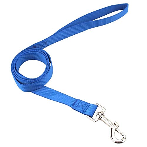 Haustier-Hundehalsband Nylon Hund Katze Halsbänder for Hunde Small Medium Can Spiel Leine Harness Mit Quick Snap Schnalle (Color : Blue Leash, Size : S 1.6cm) von KSFBHC