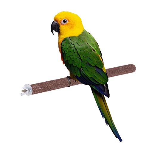 Holz Haustier Vögel Papageiklauen Spielwaren stehender Perch Birdcage Zubehör Farbe Zufällig (Color : B) von KSFBHC