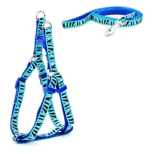 Hund Katze Geschirr-Leine Adjustable Harness Vest Leine Halsband Welpe Kleiner Hund Im Freien Gehen Schnauzer (Color : Blue Zebra, Size : M) von KSFBHC