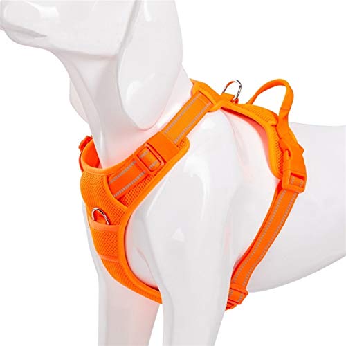Haustier-Hundegeschirr Breathable Ineinander Greifen Padded Außen Sport Keine Pull-Weste Adjustable Harness for Medium Large Hundezubehör (Color : Orange, Size : S 43 56cm Chest) von KSFBHC