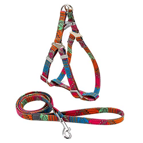 Hundegeschirr Und Leine Set Hundesegeltuch-Bügel-Weste Und Traktion Seil for Outdoor-Walking for Small Medium Haustiere (Color : C, Size : S) von KSFBHC