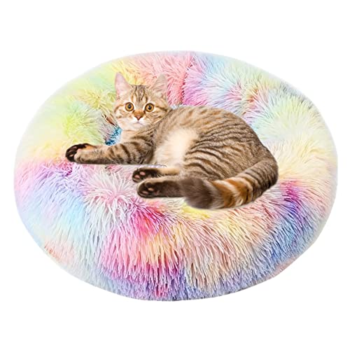 Flauschiges, rundes Haustierbett, rutschfest, Katzenbetten für Indoor-Katzen, extra kleines Hundebett, beruhigendes, weiches Plüsch-Donut-Kuschelkissen, selbstwärmend für kleine Hunde, Kätzchen (M) Flauschiges, rundes Haustierbett, rutschfest, Katzenbetten für Indoor-Katzen, extra kleines Hundebett, beruhigendes, weiches Plüsch-Donut-Kuschelkissen, selbstwärmend für kleine Hunde, Kätzchen (M) von KSIEE