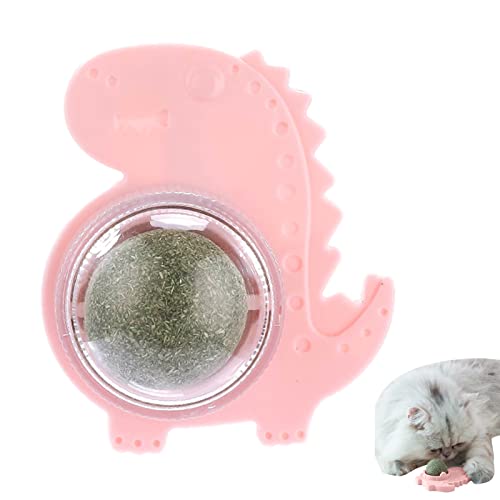 Katzenminze Wandspielzeug, Essbares Katzenleckspielzeug, Katzenkauspielzeug, Katzenkauspielzeug, Zahnreinigung Katze Biss Spielzeug, Sicheres Gesundes Kätzchen Kaureinigung Zähne Leckereien Spielzeug Katzenminze Wandspielzeug, Essbares Katzenleckspielzeug, Katzenkauspielzeug, Katzenkauspielzeug, Zahnreinigung Katze Biss Spielzeug, Sicheres Gesundes Kätzchen Kaureinigung Zähne Leckereien Spielzeug von KSIEE