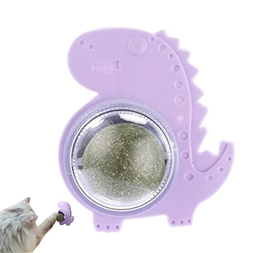 Katzenminze Wandspielzeug, Essbares Katzenleckspielzeug, Katzenkauspielzeug, Katzenkauspielzeug, Zahnreinigung Katze Biss Spielzeug, Sicheres Gesundes Kätzchen Kaureinigung Zähne Leckerli Spielzeug Katzenminze Wandspielzeug, Essbares Katzenleckspielzeug, Katzenkauspielzeug, Katzenkauspielzeug, Zahnreinigung Katze Biss Spielzeug, Sicheres Gesundes Kätzchen Kaureinigung Zähne Leckerli Spielzeug von KSIEE
