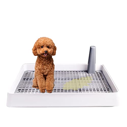 Pet Indoor Hundetrainingstoilette, Trainingstoilette Indoor Töpfchen Tablett für große Hunde, Hundetöpfchentrainingstablett Kunststoff Training Pads Halter Hund Töpfchen Toilette Hund Pee Training von KSIEE