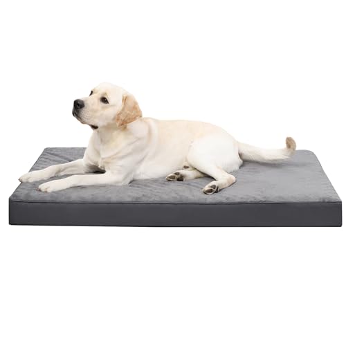 KSIIA Hundebett Orthopädisch Grosse Hunde, Hundekissen Waschbar 91x68cm, Hundebetten mit Abnehmbarer Deckel, Hundematte Doppelseitig Wendbare, Dunkelgrau KSIIA Hundebett Orthopädisch Grosse Hunde, Hundekissen Waschbar 91x68cm, Hundebetten mit Abnehmbarer Deckel, Hundematte Doppelseitig Wendbare, Dunkelgrau von KSIIA