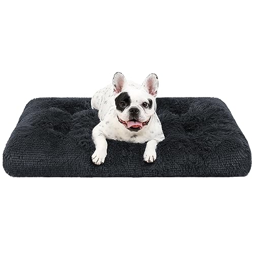 KSIIA Hundebett kleine Hunde Waschbar, Plüsch Hundekissen flauschig, 60x45cm, rutschfeste Unterseite, Hundematte, Hundekorb Hundematratze atmungsaktiv Haustierbett Dunkelgrau von KSIIA