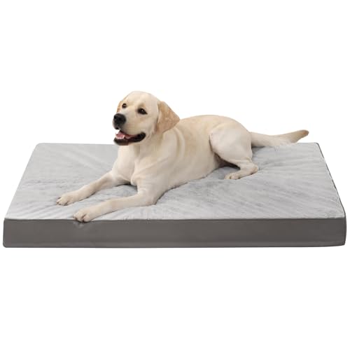 KSIIA Orthopädisches Hundebett Mittelgroße Hunde, Hundekissen Waschbar 90x57cm, Hundebetten mit Abnehmbarer Deckel, Hundematte Doppelseitig Wendbare, Grau KSIIA Orthopädisches Hundebett Mittelgroße Hunde, Hundekissen Waschbar 90x57cm, Hundebetten mit Abnehmbarer Deckel, Hundematte Doppelseitig Wendbare, Grau von KSIIA