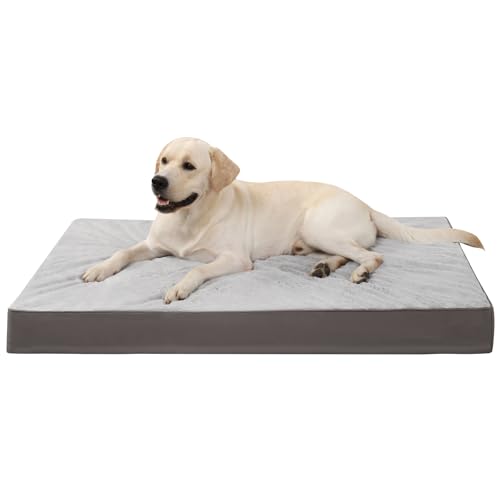KSIIA Orthopädisches Hundebett XXL, Hundekissen Grosse Hunde Waschbar 121x75cm, Hundebetten mit Abnehmbarer Deckel, Hundematte Doppelseitig Wendbare, Grau KSIIA Orthopädisches Hundebett XXL, Hundekissen Grosse Hunde Waschbar 121x75cm, Hundebetten mit Abnehmbarer Deckel, Hundematte Doppelseitig Wendbare, Grau von KSIIA