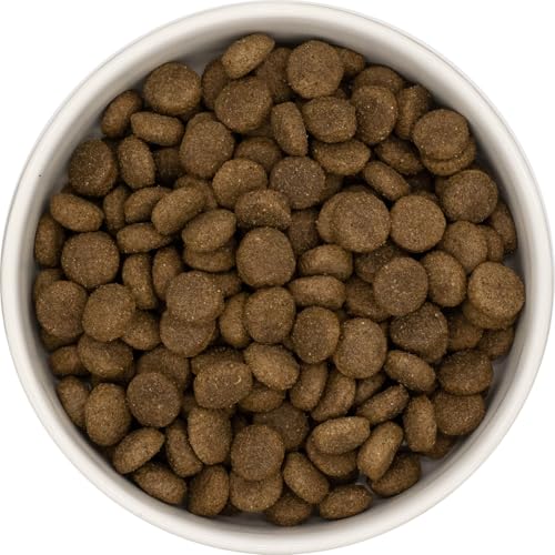 KT-Pets - Lamm mit Reis - Classic-Hundefutter - Trockenfutter für alle Hunderassen - 10kg KT-Pets - Lamm mit Reis - Classic-Hundefutter - Trockenfutter für alle Hunderassen - 10kg von KT-Pets