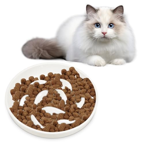 Anti Schling Napf Katzen Erstickungsgefahr Vorbeugen Auslaufsicher Antischlingnapf Katze Keramik Dauerhaft Glatt Einfach zu Säubern Slow Feeder Katze für Katzen Hunde Kleine (Weiß) von KTCINA