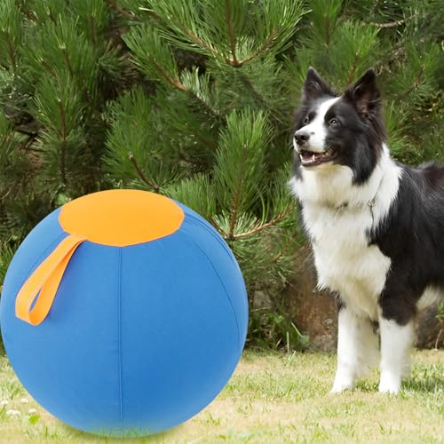 KTCINA Herding Ball Hund Φ45/65 cm Ultra Sicher Robust Langlebig Interaktiv Hundespielzeug mit Pumpe Aufblaswerkzeug Training Spielzeug Hund Großer Hund Herding Ball für Hunde Pferde (S) von KTCINA