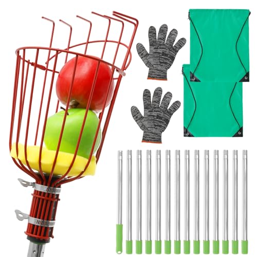 KTCINA Obstpflücker mit Teleskopstiel 4/5m mit Obstkorb 35 x 14 cm Apfelpflücker Verstellbares Läng Großer Rotierender Kirschenpflücker Ultra Leicht Stabil Platzsparend Fruchtpicker Pflückhilfe (6m) KTCINA Obstpflücker mit Teleskopstiel 4/5m mit Obstkorb 35 x 14 cm Apfelpflücker Verstellbares Läng Großer Rotierender Kirschenpflücker Ultra Leicht Stabil Platzsparend Fruchtpicker Pflückhilfe (6m) von KTCINA