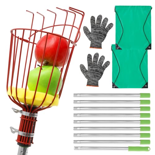 KTCINA Obstpflücker mit Teleskopstiel 4/5m mit Obstkorb 35 x 14 cm Apfelpflücker Verstellbares Läng Großer Rotierender Kirschenpflücker Ultra Leicht Stabil Platzsparend Fruchtpicker Pflückhilfe (4m) KTCINA Obstpflücker mit Teleskopstiel 4/5m mit Obstkorb 35 x 14 cm Apfelpflücker Verstellbares Läng Großer Rotierender Kirschenpflücker Ultra Leicht Stabil Platzsparend Fruchtpicker Pflückhilfe (4m) von KTCINA