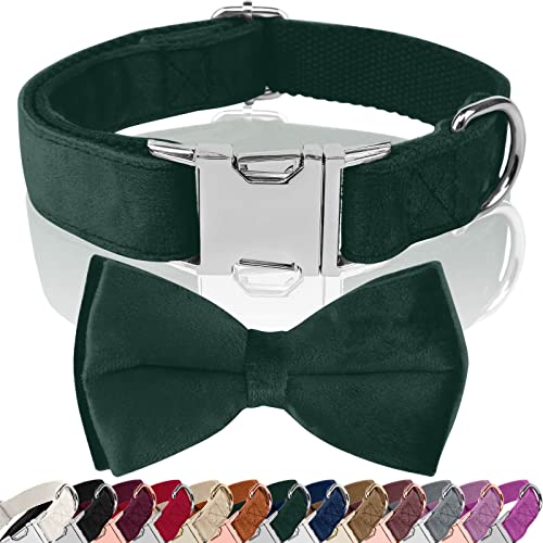 Hundehalsband Allerheiligen, mit Hunde Fliege Abnehmbarer, Personalisiert Hunde Halsband, verstellbares Hundehalsband, für Hunde Kleine Mittel große Hunde, Allerheiligen (S, Green) von KTWSUEF