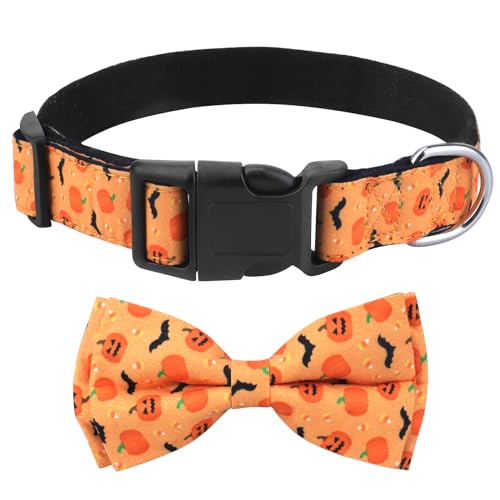 Hundehalsband Halloween, mit Hunde Fliege Abnehmbarer, Personalisiert Hunde Halsband, verstellbares Hundehalsband, für Hunde Kleine Mittel große Hunde, Halloween Hundehalsband Halloween, mit Hunde Fliege Abnehmbarer, Personalisiert Hunde Halsband, verstellbares Hundehalsband, für Hunde Kleine Mittel große Hunde, Halloween von KTWSUEF