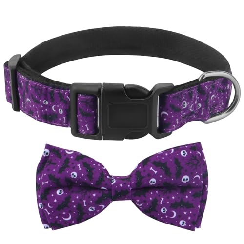 Hundehalsband Halloween, mit Hunde Fliege Abnehmbarer, Personalisiert Hunde Halsband, verstellbares Hundehalsband, für Hunde Kleine Mittel große Hunde, Halloween Hundehalsband Halloween, mit Hunde Fliege Abnehmbarer, Personalisiert Hunde Halsband, verstellbares Hundehalsband, für Hunde Kleine Mittel große Hunde, Halloween von KTWSUEF