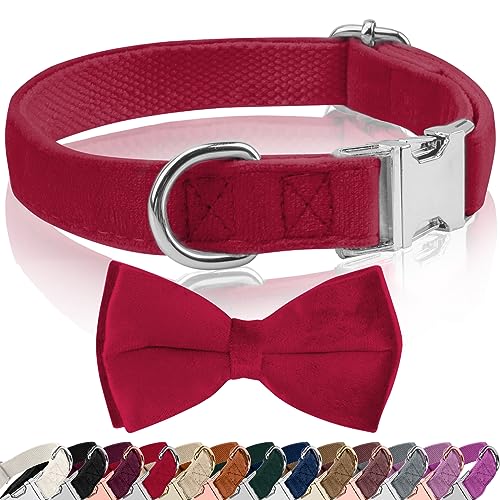 Hundehalsband Samtige, mit Hunde Fliege Abnehmbarer Hundehalsband, Personalisiert Hunde Halsband, verstellbares Halsband Hund, für Hunde Kleine Mittel große Hunde (L, rosa) von KTWSUEF