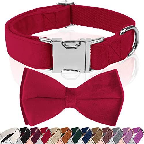 Hundehalsband Samtige, mit Hunde Fliege Abnehmbarer Hundehalsband, Personalisiert Hunde Halsband, verstellbares Hundehalsband, für Hunde Kleine Mittel große Hunde-9 (S, Rot) von KTWSUEF