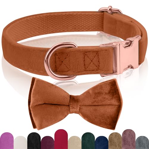 KTWSUEF Hundehalsband Samtige, mit Hunde Fliege Abnehmbarer Hundehalsband, Personalisiert Hunde Halsband, verstellbares Hundehalsband, für Hunde Kleine Mittel große Hunde (XL, Dark Brown) von KTWSUEF