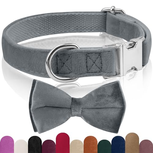 KTWSUEF Hundehalsband Samtiges, mit Abnehmbarer Hunde Fliege, Komfortable Verstellbares Samtige Halsband Hund, Geeignet für Hunde Kleine Mittel große Hunde, Für Hochzeiten, Geburtstage, Partys usw KTWSUEF Hundehalsband Samtiges, mit Abnehmbarer Hunde Fliege, Komfortable Verstellbares Samtige Halsband Hund, Geeignet für Hunde Kleine Mittel große Hunde, Für Hochzeiten, Geburtstage, Partys usw von KTWSUEF