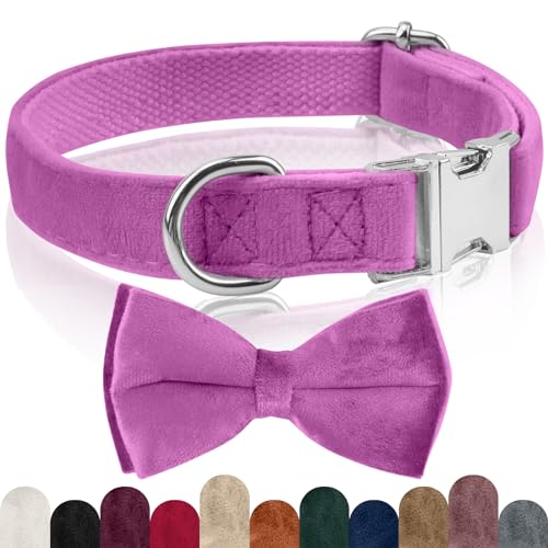 KTWSUEF Hundehalsband Samtiges, mit Abnehmbarer Hunde Fliege, Komfortable Verstellbares Samtige Halsband Hund, Geeignet für Hunde Kleine Mittel große Hunde, Für Hochzeiten, Geburtstage, Partys usw KTWSUEF Hundehalsband Samtiges, mit Abnehmbarer Hunde Fliege, Komfortable Verstellbares Samtige Halsband Hund, Geeignet für Hunde Kleine Mittel große Hunde, Für Hochzeiten, Geburtstage, Partys usw von KTWSUEF