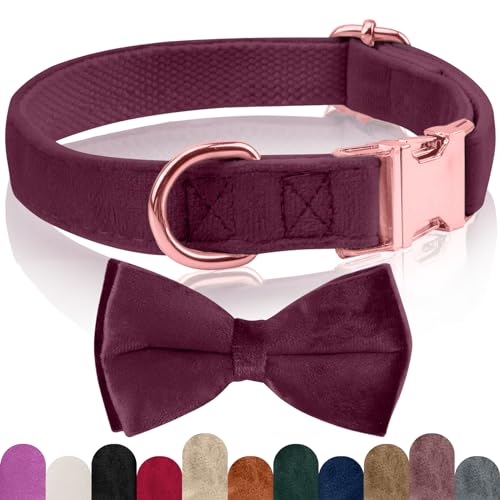 KTWSUEF Hundehalsband Samtiges, mit Abnehmbarer Hunde Fliege, Komfortable Verstellbares Samtige Halsband Hund, Geeignet für Hunde Kleine Mittel große Hunde, Für Hochzeiten, Geburtstage, Partys usw KTWSUEF Hundehalsband Samtiges, mit Abnehmbarer Hunde Fliege, Komfortable Verstellbares Samtige Halsband Hund, Geeignet für Hunde Kleine Mittel große Hunde, Für Hochzeiten, Geburtstage, Partys usw von KTWSUEF