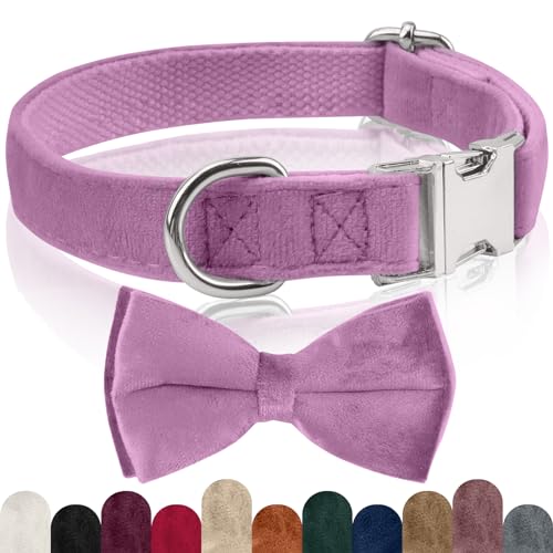 KTWSUEF Hundehalsband Samtiges, mit Abnehmbarer Hunde Fliege, Komfortable Verstellbares Samtige Halsband Hund, Geeignet für Hunde Kleine Mittel große Hunde, Für Hochzeiten, Geburtstage, Partys usw KTWSUEF Hundehalsband Samtiges, mit Abnehmbarer Hunde Fliege, Komfortable Verstellbares Samtige Halsband Hund, Geeignet für Hunde Kleine Mittel große Hunde, Für Hochzeiten, Geburtstage, Partys usw von KTWSUEF