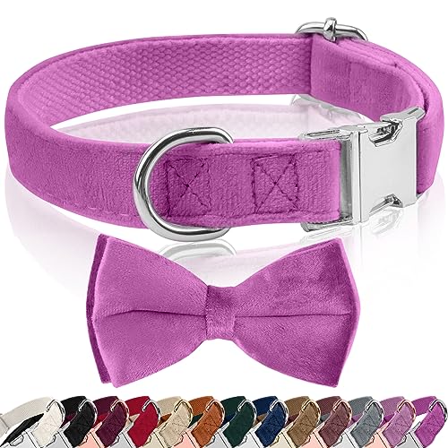 KTWSUEF Hundehalsband Samtiges, mit Abnehmbarer Hunde Fliege, Komfortable Verstellbares Samtige Halsband Hund, Geeignet für Hunde Kleine Mittel große Hunde, Für Hochzeiten, Geburtstage, Partys usw KTWSUEF Hundehalsband Samtiges, mit Abnehmbarer Hunde Fliege, Komfortable Verstellbares Samtige Halsband Hund, Geeignet für Hunde Kleine Mittel große Hunde, Für Hochzeiten, Geburtstage, Partys usw von KTWSUEF