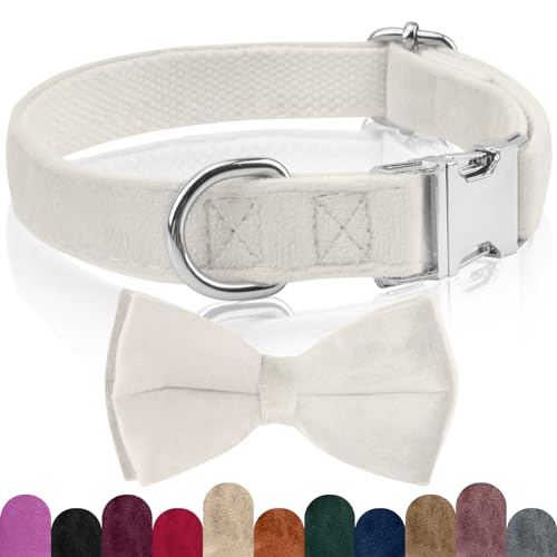 KTWSUEF Hundehalsband Samtiges, mit Abnehmbarer Hunde Fliege, Komfortable Verstellbares Samtige Halsband Hund, Geeignet für Hunde Kleine Mittel große Hunde, Für Hochzeiten, Geburtstage, Partys usw KTWSUEF Hundehalsband Samtiges, mit Abnehmbarer Hunde Fliege, Komfortable Verstellbares Samtige Halsband Hund, Geeignet für Hunde Kleine Mittel große Hunde, Für Hochzeiten, Geburtstage, Partys usw von KTWSUEF