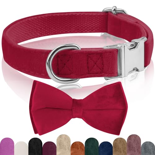 KTWSUEF Hundehalsband Samtiges, mit Abnehmbarer Hunde Fliege, Komfortable Verstellbares Samtige Halsband Hund, Geeignet für Hunde Kleine Mittel große Hunde, Für Hochzeiten, Geburtstage, Partys usw KTWSUEF Hundehalsband Samtiges, mit Abnehmbarer Hunde Fliege, Komfortable Verstellbares Samtige Halsband Hund, Geeignet für Hunde Kleine Mittel große Hunde, Für Hochzeiten, Geburtstage, Partys usw von KTWSUEF