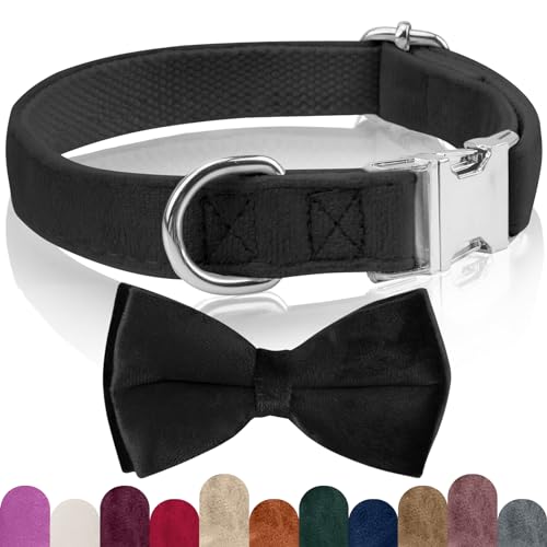 KTWSUEF Hundehalsband Samtiges, mit Abnehmbarer Hunde Fliege, Komfortable Verstellbares Samtige Halsband Hund, Geeignet für Hunde Kleine Mittel große Hunde, Für Hochzeiten, Geburtstage, Partys usw KTWSUEF Hundehalsband Samtiges, mit Abnehmbarer Hunde Fliege, Komfortable Verstellbares Samtige Halsband Hund, Geeignet für Hunde Kleine Mittel große Hunde, Für Hochzeiten, Geburtstage, Partys usw von KTWSUEF