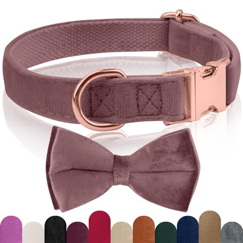 KTWSUEF Hundehalsband Samtiges, mit Abnehmbarer Hunde Fliege, Komfortable Verstellbares Samtige Halsband Hund, Geeignet für Hunde Kleine Mittel große Hunde, Für Hochzeiten, Geburtstage, Partys usw KTWSUEF Hundehalsband Samtiges, mit Abnehmbarer Hunde Fliege, Komfortable Verstellbares Samtige Halsband Hund, Geeignet für Hunde Kleine Mittel große Hunde, Für Hochzeiten, Geburtstage, Partys usw von KTWSUEF
