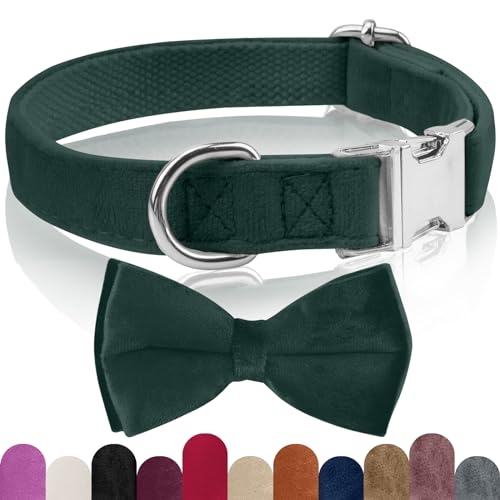 KTWSUEF Hundehalsband Samtiges, mit Abnehmbarer Hunde Fliege, Komfortable Verstellbares Samtige Halsband Hund, Geeignet für Hunde Kleine Mittel große Hunde, Für Hochzeiten, Geburtstage, Partys usw KTWSUEF Hundehalsband Samtiges, mit Abnehmbarer Hunde Fliege, Komfortable Verstellbares Samtige Halsband Hund, Geeignet für Hunde Kleine Mittel große Hunde, Für Hochzeiten, Geburtstage, Partys usw von KTWSUEF